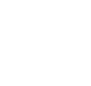 Whatsapp Sipariş Numarası
